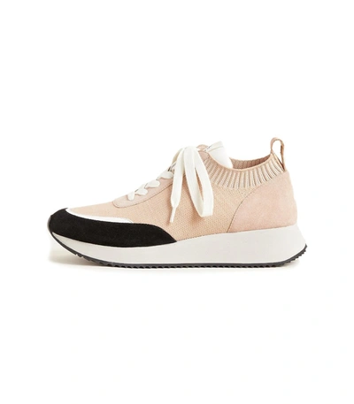Shop Loeffler Randall Remi Lace Up Knit Sneaker In Natural/cement/black In Neutrals