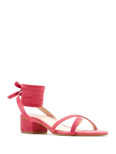 Shop Eva Leather Sandals In Pink