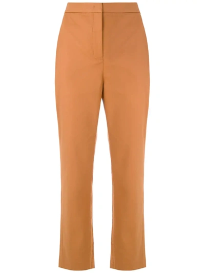 Shop Eva Bromélia Straight Trousers In Brown