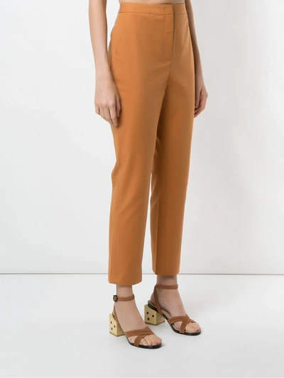 Shop Eva Bromélia Straight Trousers In Brown