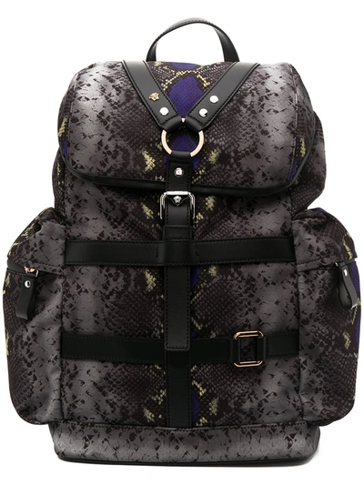 Shop Versace Snakeskin-print Backpack In Grey