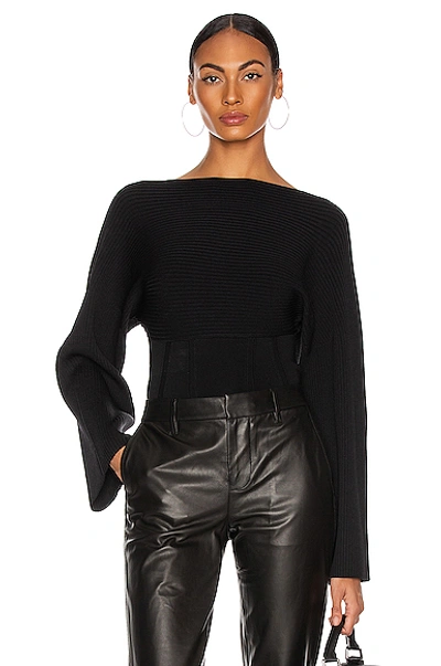 Shop Dion Lee Cocoon Corset Sweater In Black