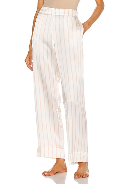 Shop Asceno The London Pj Bottom In Blush Stripe