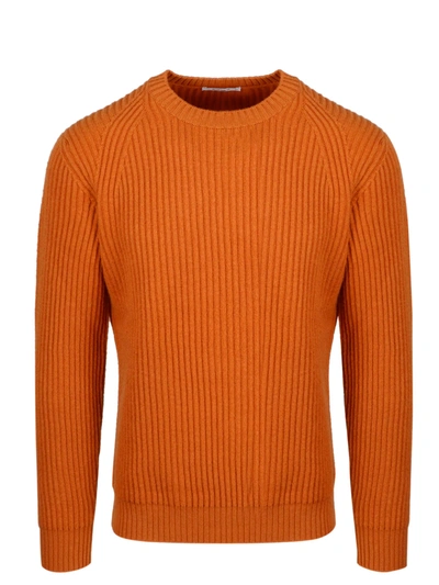 Shop Kangra Ribbed Sweater In Brown