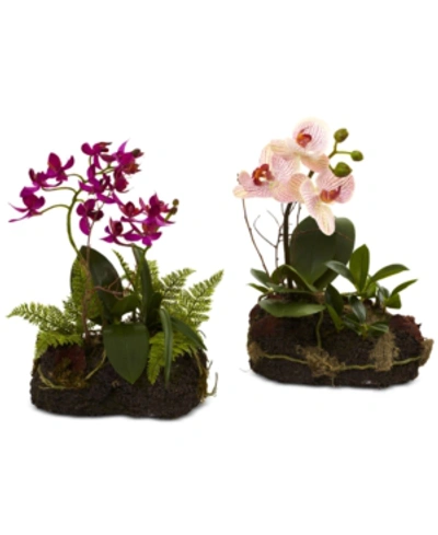 NEARLY NATURAL 2-PC. ORCHID ISLAND ARTIFICIAL ARRANGEMENT SET 