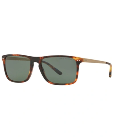 Shop Polo Ralph Lauren Men's Polarized Sunglasses, Ph4119 56 In Tortoise Jerry Vintage