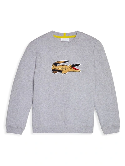 Shop Lacoste Little Boy's & Boy's National Geographic Crewneck Pullover In Heather Grey