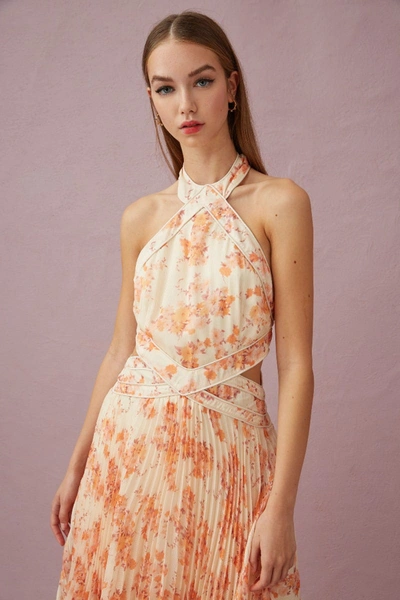 Shop Keepsake One Touch Midi Dress Vanilla Blossom