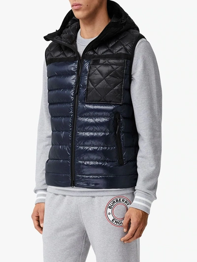 Shop Burberry Quilted Panel Hooded Puffer Gilet In Blue