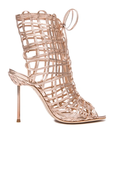 Shop Sophia Webster Delphine Leather Booties In Gold