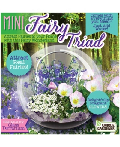 Unique Gardener Glass Terrarium - Mini Fairy Triad In No Color