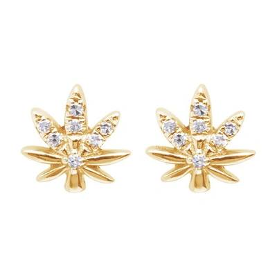 Shop Djula Leaf Earrings In Or Jaune