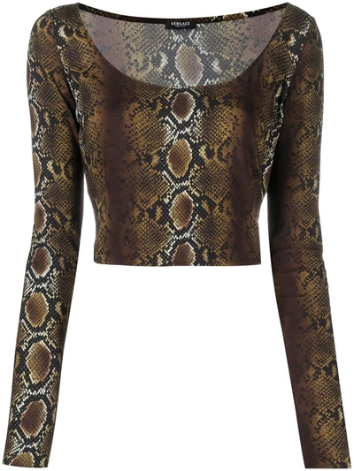 Shop Versace Snakeskin-print Cropped Top In Black