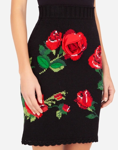 Shop Dolce & Gabbana Mini Skirt With Rose Embroidery In Multicolor