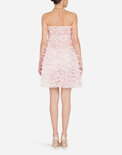 Shop Dolce & Gabbana Short Organza Dress With Feather Embellishment