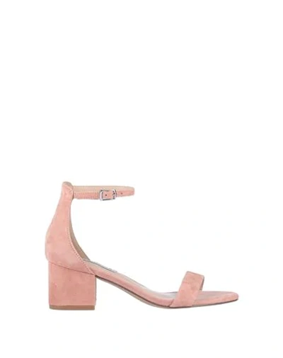 Shop Steve Madden Woman Sandals Pink Size 7 Leather