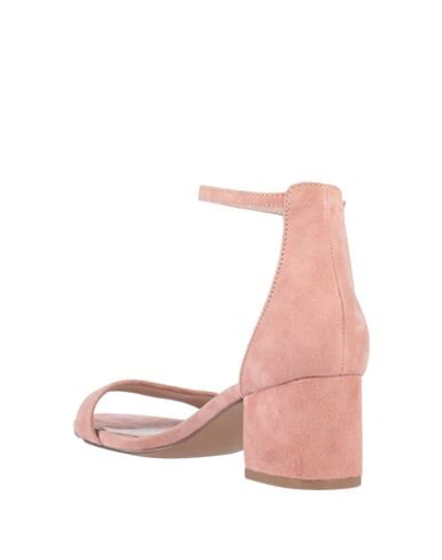 Shop Steve Madden Woman Sandals Pink Size 7 Leather