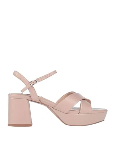 Bibi Lou Sandals In Pale Pink | ModeSens