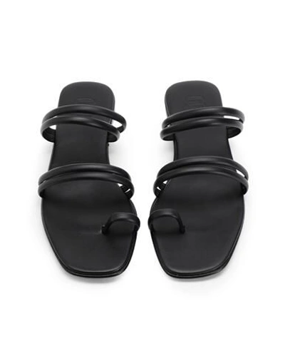 Shop 8 By Yoox Leather Square Toe-post Flat Sandal Woman Thong Sandal Black Size 8 Ovine Leather