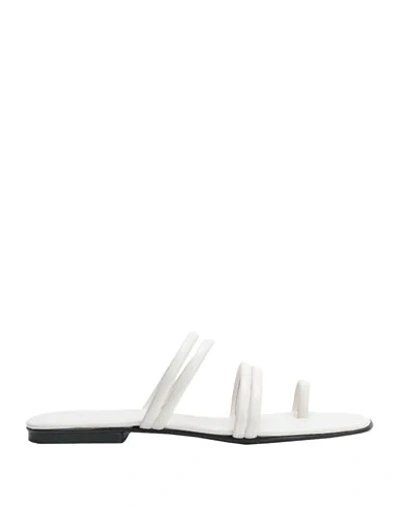 Shop 8 By Yoox Leather Square Toe-post Flat Sandal Woman Thong Sandal White Size 8 Ovine Leather
