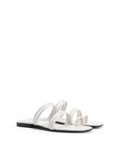Shop 8 By Yoox Leather Square Toe-post Flat Sandal Woman Thong Sandal White Size 8 Ovine Leather