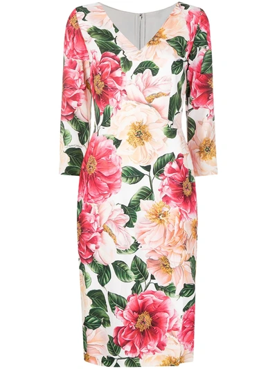 Shop Dolce & Gabbana Floral Print Midi Dress In Pink