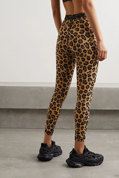 Shop Adam Selman Sport Bonded Velvet-trimmed Leopard-print Stretch Leggings In Leopard Print