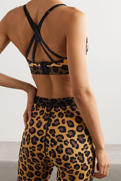 Shop Adam Selman Sport Bonded Velvet-trimmed Leopard-print Stretch Sports Bra In Leopard Print