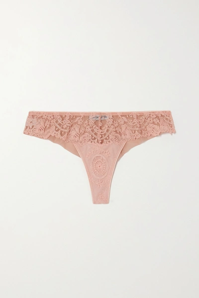 Shop Id Sarrieri Annabelle Embroidered Tulle Thong In Pink