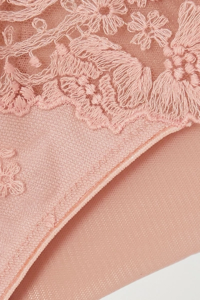 Shop Id Sarrieri Annabelle Embroidered Tulle Thong In Pink