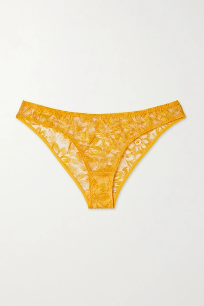 Shop Myla Columbia Road Embroidered Tulle Briefs In Yellow