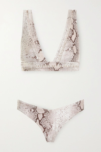 Shop Zimmermann Bellitude Lattice-trimmed Snake-print Bikini In Snake Print