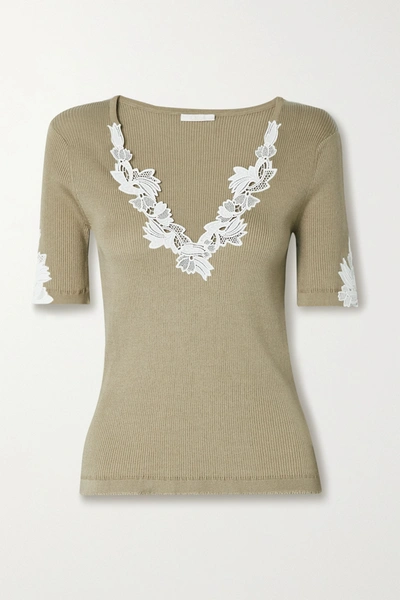Shop Chloé Guipure Lace-trimmed Ribbed Cotton-jersey Sweater In Taupe