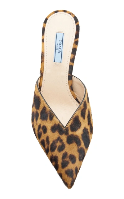 Shop Prada Leopard-print Calf Hair Mules In Animal