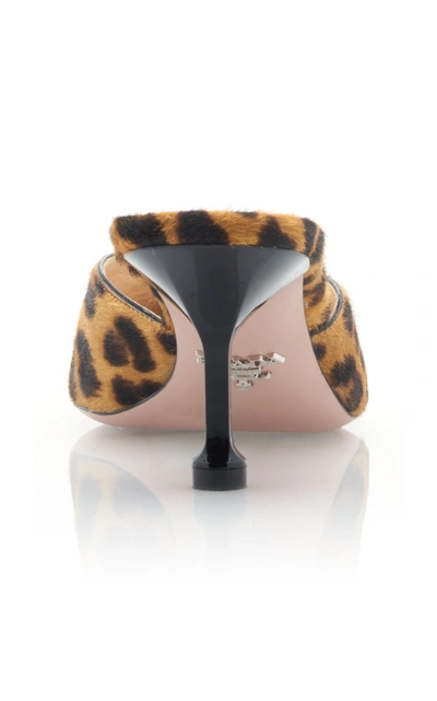 Shop Prada Leopard-print Calf Hair Mules In Animal