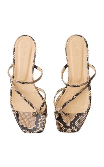 Shop Aeyde Women's Marina Snake Print Sandals In Animal