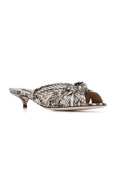 Shop Dolce & Gabbana Python Sandals In Animal