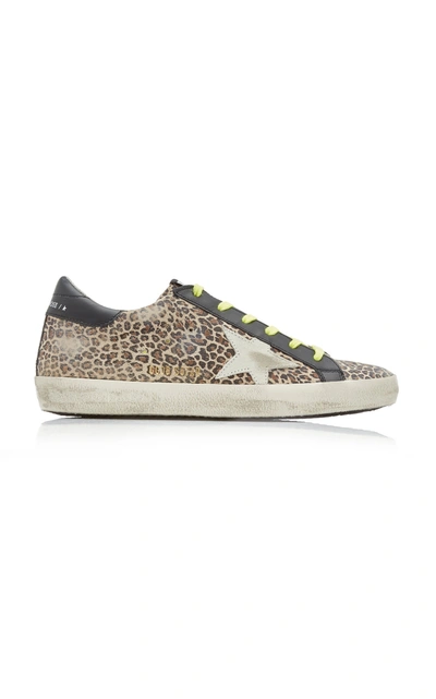 Shop Golden Goose Superstar Distressed Leopard Leather Sneakers In Animal