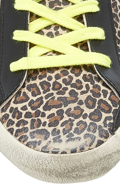 Shop Golden Goose Superstar Distressed Leopard Leather Sneakers In Animal