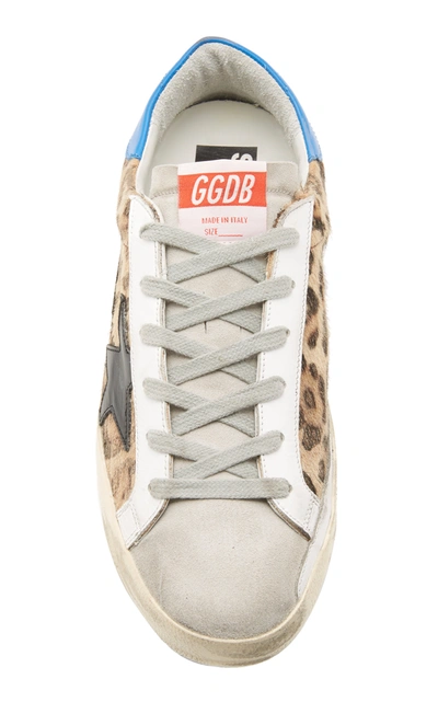 Shop Golden Goose Superstar Distressed Printed Calf Hair And Leather Sneakers In Animal
