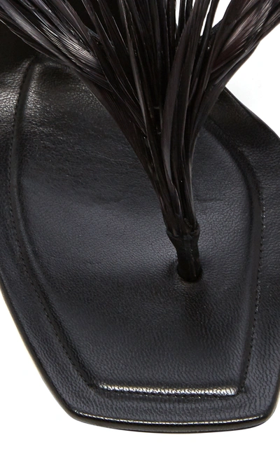 Shop Alexander Wang Ivy Feather-embellished Leather Thong Sandals In Black