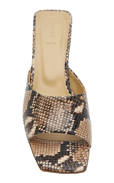 Shop Aeyde Katti Snake-effect Leather Sandals In Animal