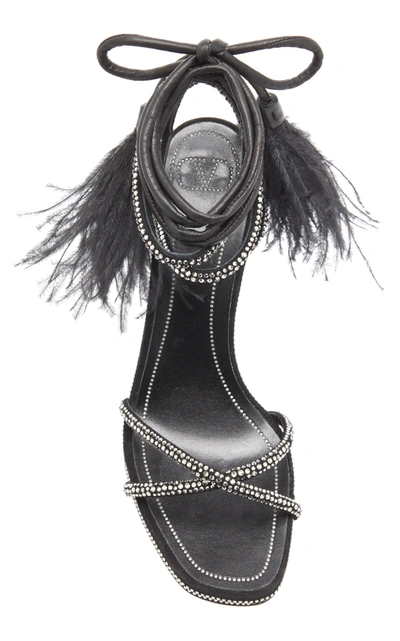 Shop Valentino Women's  Garavani Upflair Feather-trimmed Crystal-embellished Suede Sandals In Black