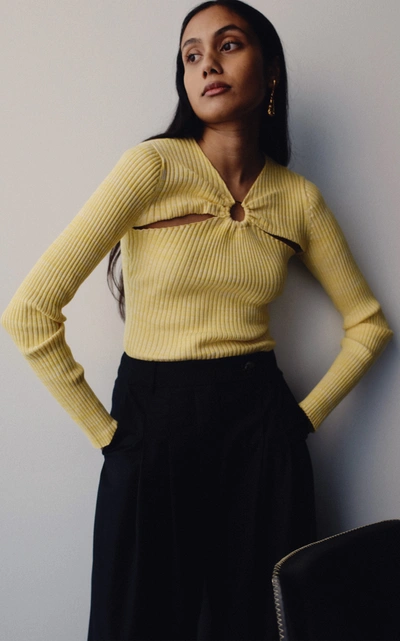 Shop Anna Quan Women's Laila Cutout Ribbed-knit Cotton Top In Yellow,grey