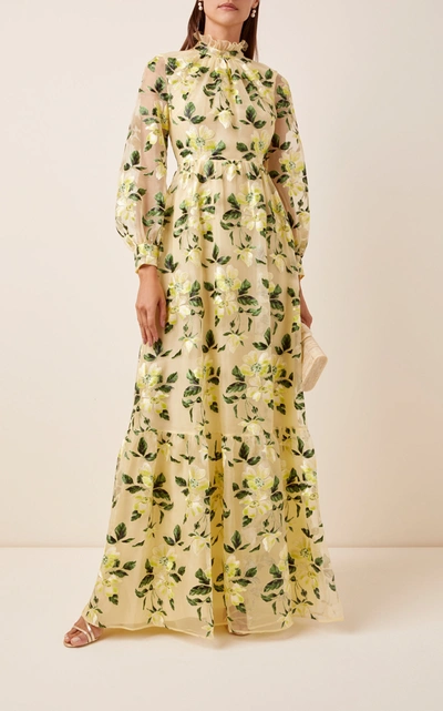 Shop Erdem Clementine Floral-embroidered Silk Organza Gown In Multi