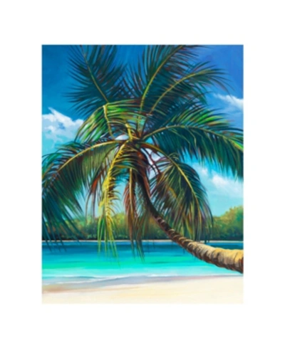 Shop Colossal Images Lone Palm, Canvas Wall Art In Multi