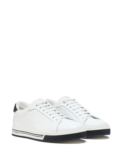 Shop Dolce & Gabbana Roma Crocodile Leather Sneakers In White