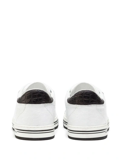 Shop Dolce & Gabbana Roma Crocodile Leather Sneakers In White