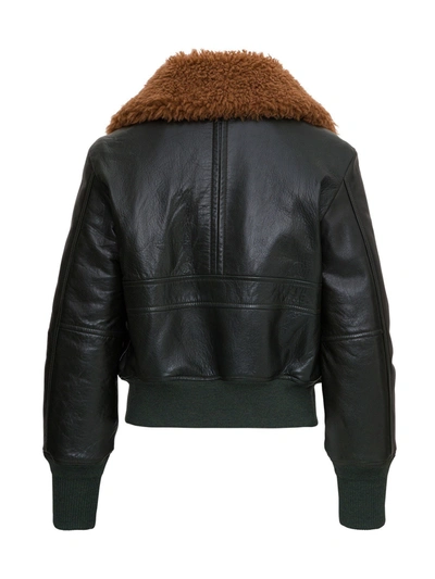 Shop Chloé Leather Aviator Jacket With Shearling Collar In Green