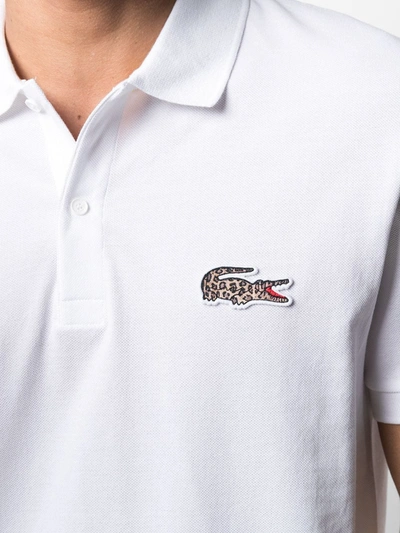 Shop Lacoste Embroidered Logo Polo Shirt In White
